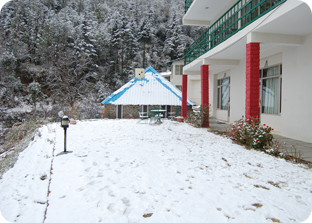 Hotels in Chail, Resorts in Chail, Bubget Hotels in Chail, Fernhill Resort Chail,